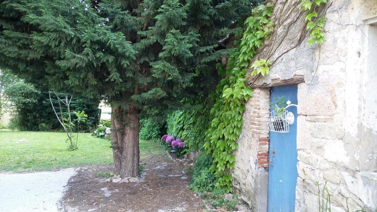 La Chagnelotte Lejlighed Farges-les-Chalon Eksteriør billede